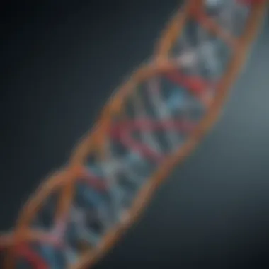 DNA double helix structure