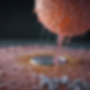 Mechanisms of Irreversible Electroporation in Cancer Treatment Illustration depicting the concept of irreversible electroporation and its effects on cancer cells