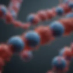 Structural representation of J chain antibodies highlighting their unique features