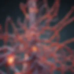 Schematic representation of Janus kinase signaling pathways