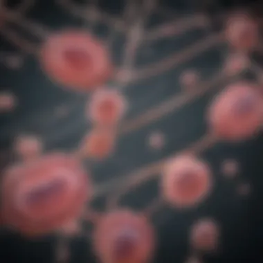 Infographic illustrating transmission routes of Listeria monocytogenes