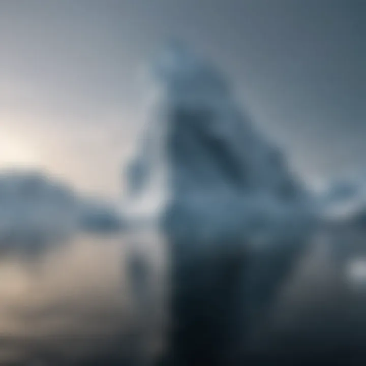 Marine ecosystem affected by iceberg reduction