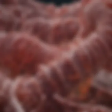 Advancements in Colon Cancer Research Research advancements in colon cancer detection