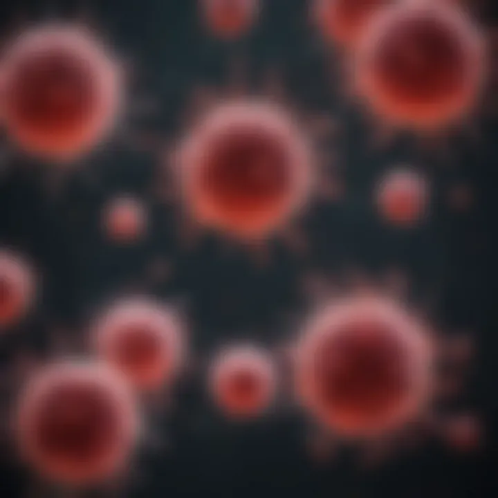 Diagram showing the relationship between mast cells and other immune cells.