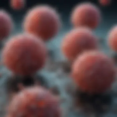 Microscopic view of viable and non-viable cells