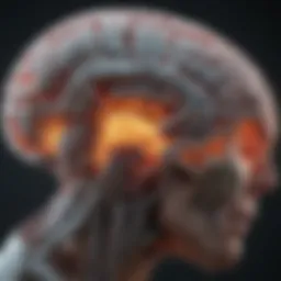 MRI scan highlighting brain regions affected by Parkinson's
