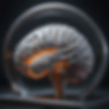 Understanding MRI Mechanisms Diagram illustrating MRI principles and functions