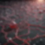 Biochemical pathways of nitric oxide synthesis