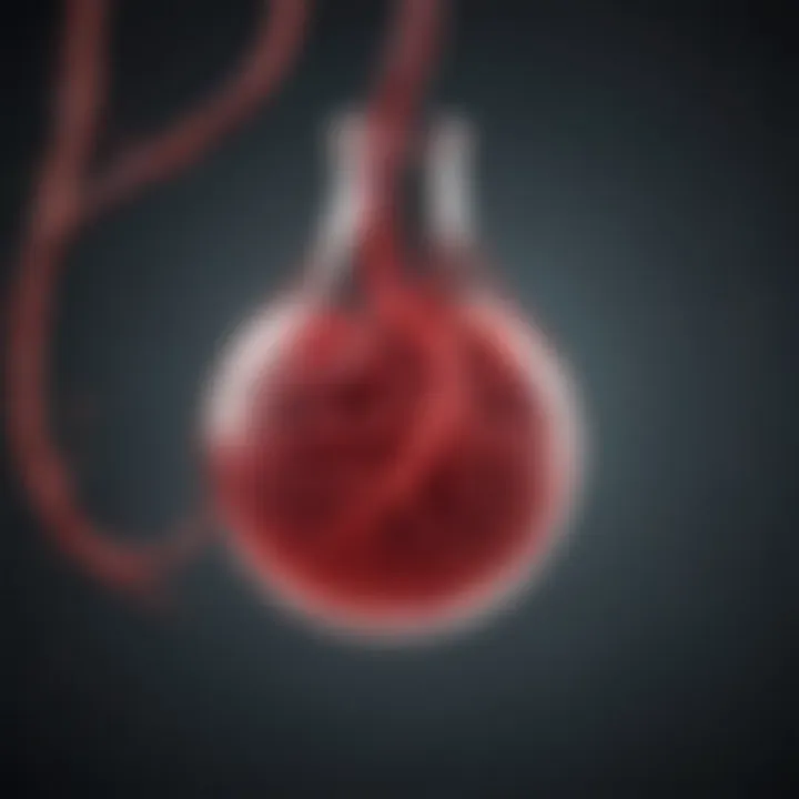 Role of nitric oxide in vascular function
