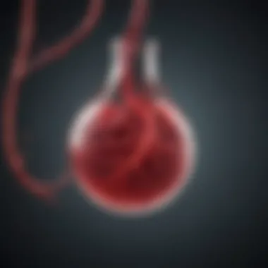 Nitric Oxide's Role in Vascular Function Role of nitric oxide in vascular function