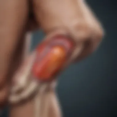 A detailed diagram illustrating the pathophysiology of osteoarthritis.