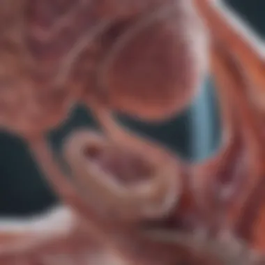 AI Integration in Pathology Workflows Visualization of AI integration in pathology workflows using advanced technology