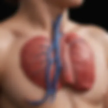 Physiological diagram of atrial enlargement