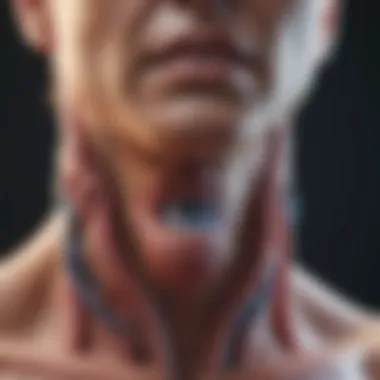 Thyroid Gland Diagram Thyroid gland diagram highlighting post-surgery changes