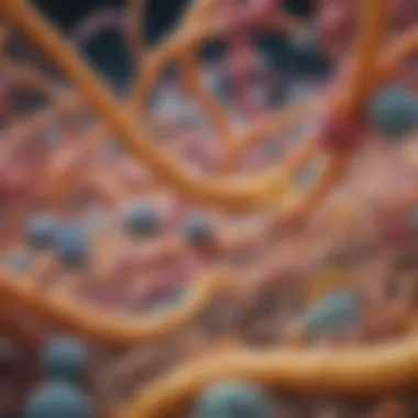 Diverse Structures of Pancreatic Proteolytic Enzymes Illustration of pancreatic proteolytic enzyme structures