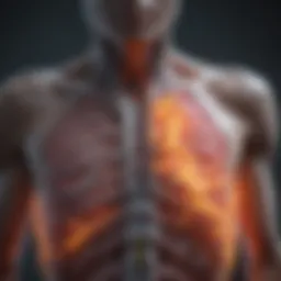 Detailed representation of reticular opacities on a chest X-ray