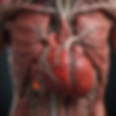 Impact of Smoking on the Cardiovascular System Illustration of cardiovascular system affected by smoking