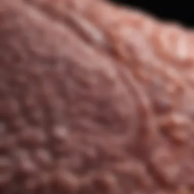 Notable Stage 4 Colorectal Cancer Prognosis: An In-Depth Examination