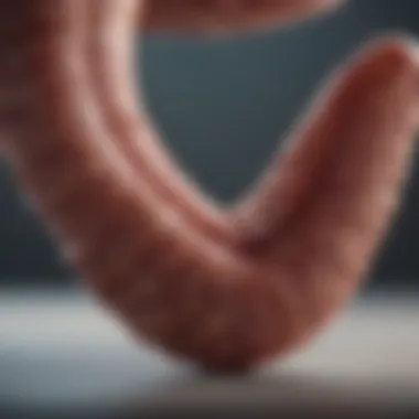 Stage 4 Colorectal Cancer Prognosis: An In-Depth Examination Summary Stage 4 Colorectal Cancer Prognosis: An In-Depth Examination Summary