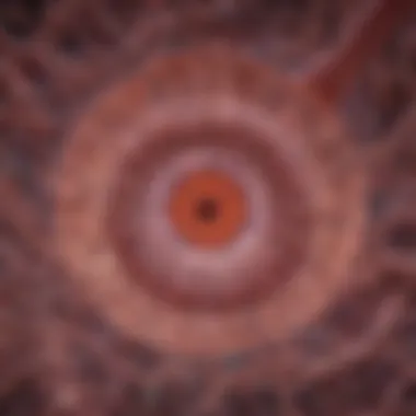 Microscopic Analysis of Colon Cancer Microscopic view of colon cancer cells
