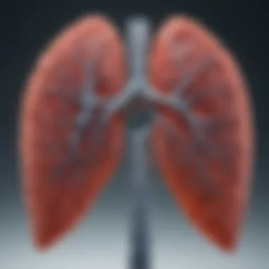 Graphical representation of lung cancer types influenced by genetic mutations