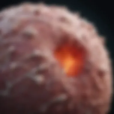 Targeting Cancerous Tissue A visual representation of cancerous tissue targeted by focal therapy