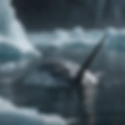 Close-up of a narwhal swimming in icy waters