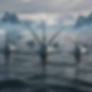 Social Dynamics of Narwhals in the Arctic Group of narwhals swimming together in Arctic waters