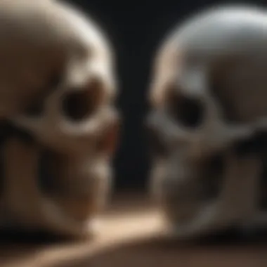 A conceptual illustration representing the contrast between life and death.