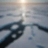 Aerial view of melting sea ice in the Arctic