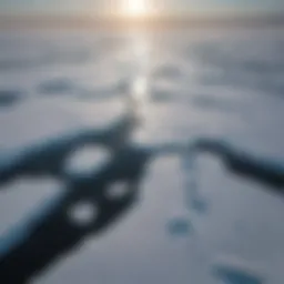 Aerial view of melting sea ice in the Arctic