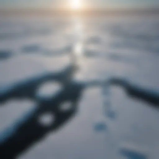 Aerial view of melting sea ice in the Arctic