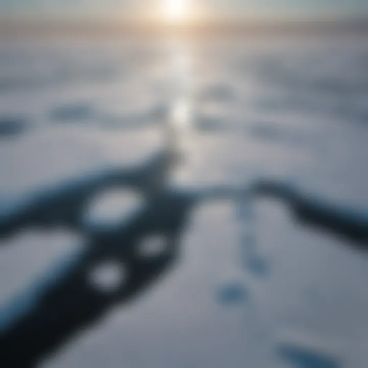 Aerial view of melting sea ice in the Arctic