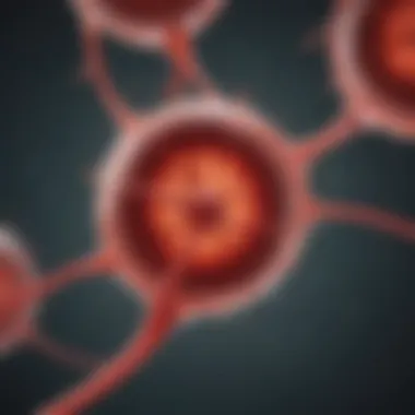 Platelet Structure and Function Illustration of platelet structure and function