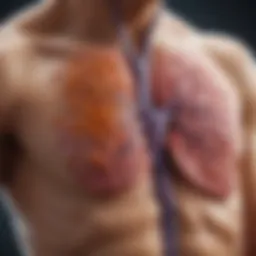 Illustration of the thymus and its role in T cell maturation