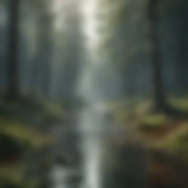 Water Cycle Illustration with Forest Emphasis Illustration of the water cycle highlighting forest areas