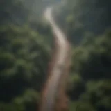 Aerial view of a rainforest disrupted by road construction