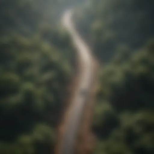 Aerial view of a rainforest disrupted by road construction