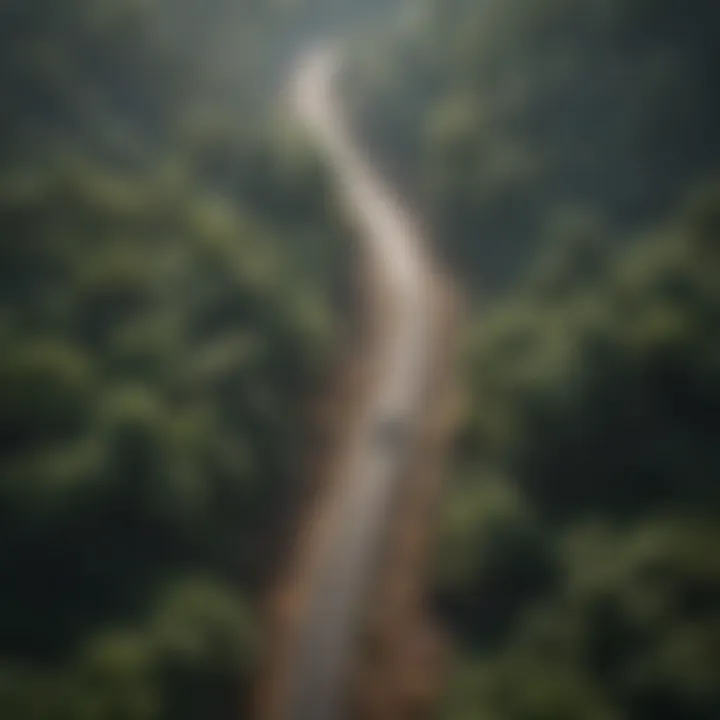 Aerial view of a rainforest disrupted by road construction