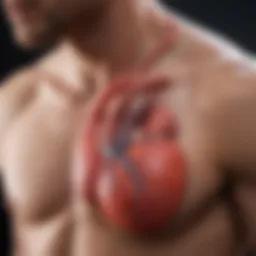 Dynamic representation of atrial fibrillation and heart failure interaction