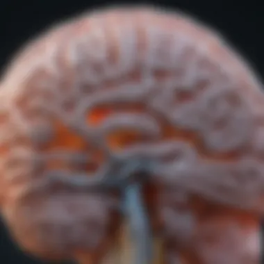 Structural Alterations in the Brain Brain scan highlighting structural changes due to depression