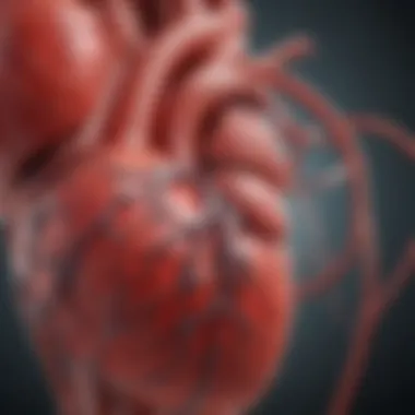 Anemia's Impact on Cardiovascular Health Illustration of the heart and circulatory system affected by anemia