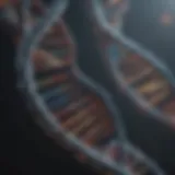 A close-up of a DNA double helix structure highlighting genetic sequences