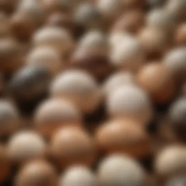 The Art of Egg Mimicry A visual representation of egg mimicry, depicting how cuckoo eggs can resemble those of their host species.