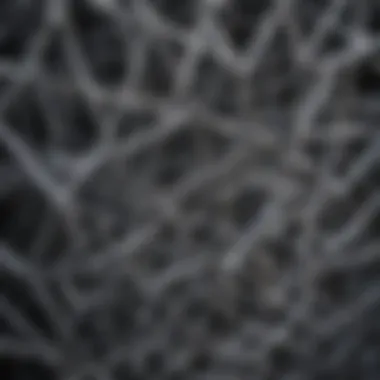 Types of Lattice Structures in Metals Comparison of different types of metallic lattice structures
