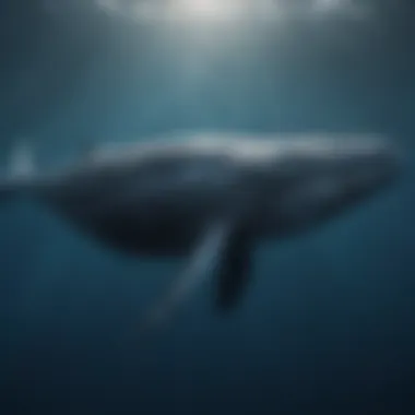 A majestic old whale swimming gracefully in deep blue waters.