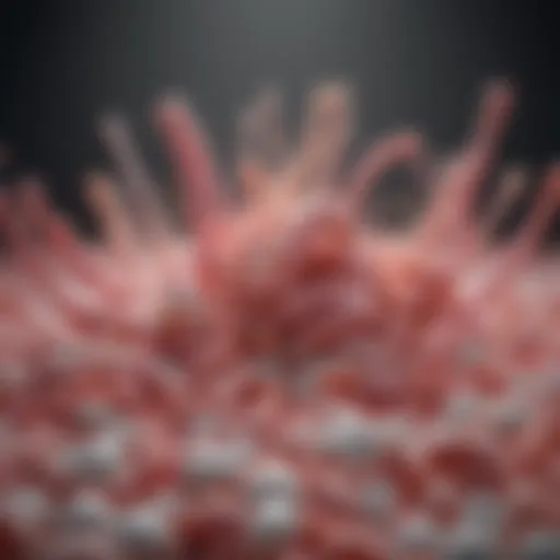 Illustration depicting the concept of prebiotics and their sources