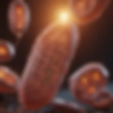 Mitochondrial Biogenesis and ROS Interaction Conceptual image depicting mitochondrial biogenesis influenced by ROS
