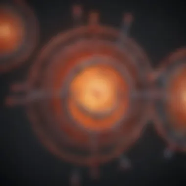 ROS Signaling Pathways in Cellular Health Diagram showing the signaling pathways influenced by ROS