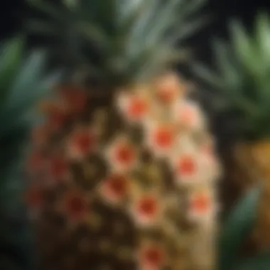 Close-up of pineapple flowers in bloom, showcasing intricate details.